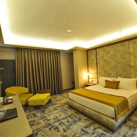 The Alpfine Hotel Ankara