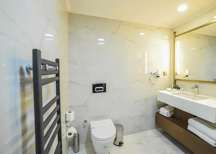 Hotell The Alpfine Ankara