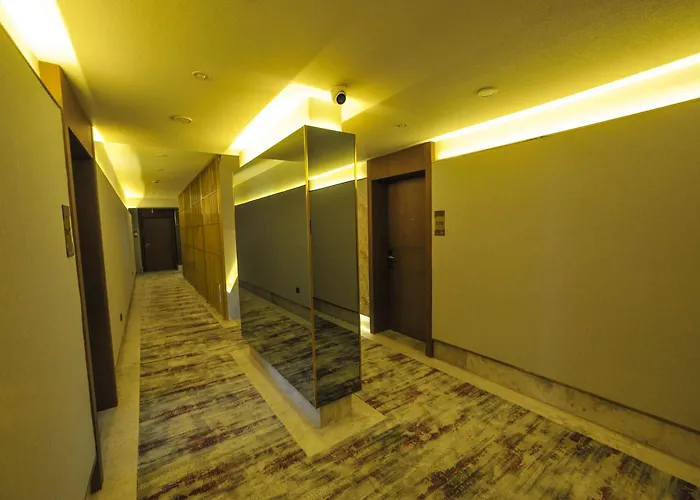 The Alpfine Hotell Ankara