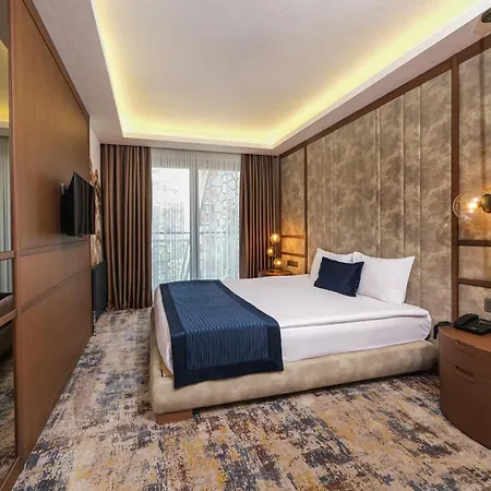 Hotel The Alpfine Ankara