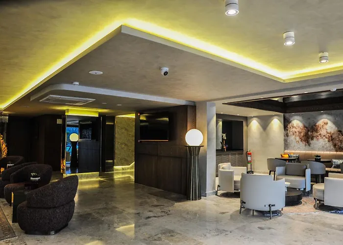 Hotel The Alpfine Ankara