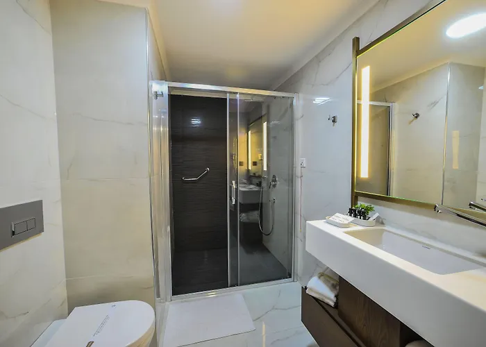 The Alpfine Hotell *