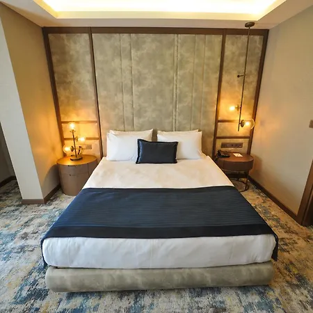Hotel The Alpfine Ankara